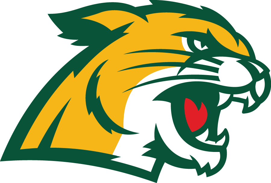 Northern Michigan Wildcats 2016-Pres Secondary Logo DIY iron on transfer (heat transfer)